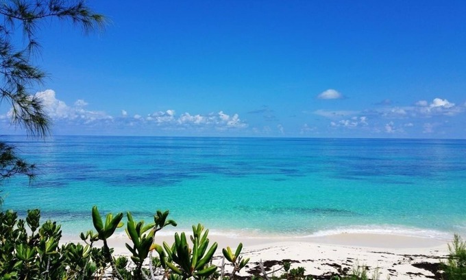 North Palmetto Point Cottage | Boathouse La Bougainvillea 1 Bedroom Cottage