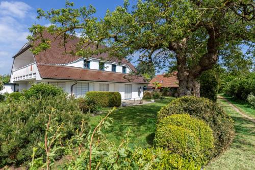 Born auf dem Darss Apartment | Boddenstern
