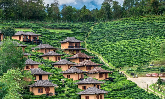 Pai Hotel | Bodega Pai Party Hostel