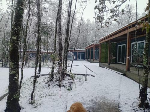 Pucon House | Boker Tov Pucón