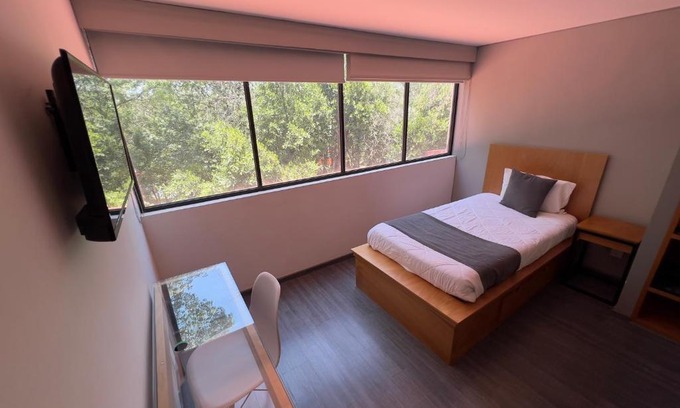 Alvaro Obregon House | Bonsai Las Aguilas