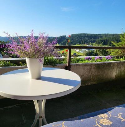 Schonach im Schwarzwald Apartment | book-3days-get-1day-free! Balcony-Apartment in Schonach center