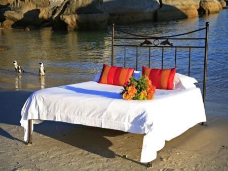 Simon's Town Bed & Breakfast | Boulders Beach Hotel, Cafe and Curio shop