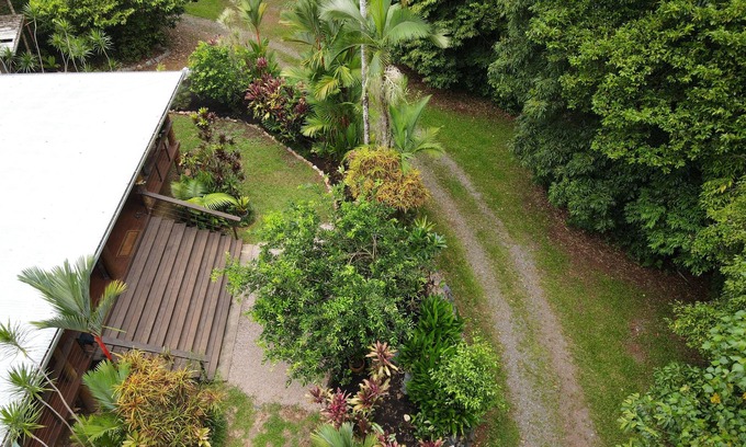 Cow Bay House | Bowenia Daintree Rainforest Retreat