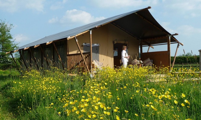 Glastonbury Cabin | Braeburn, set in a peaceful orchard just ten minutes from Glastonbury