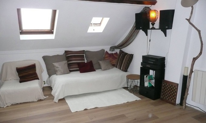Saumur Apartment | Break in the center of Saumur superb castle view