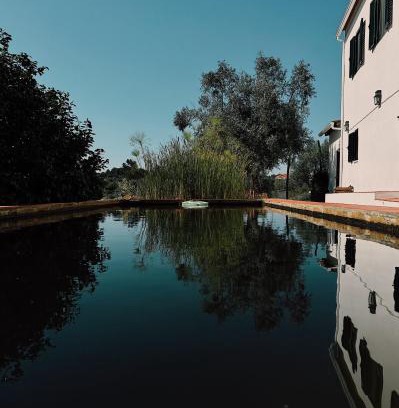 Tomar Apartment | Breakfast Under A Tree - Apartamento and Farmhouse