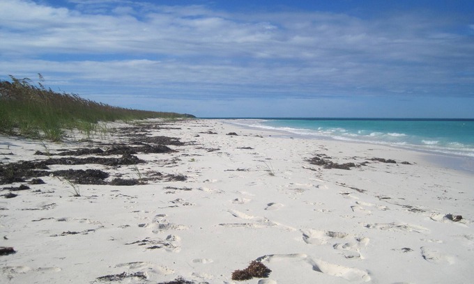 Spanish Wells Cottage | Breezy Island Cottage: A Private Bahamian Escape