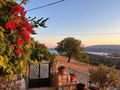 Argostoli Apartment | Brian & Dora's house in Kontogourata
