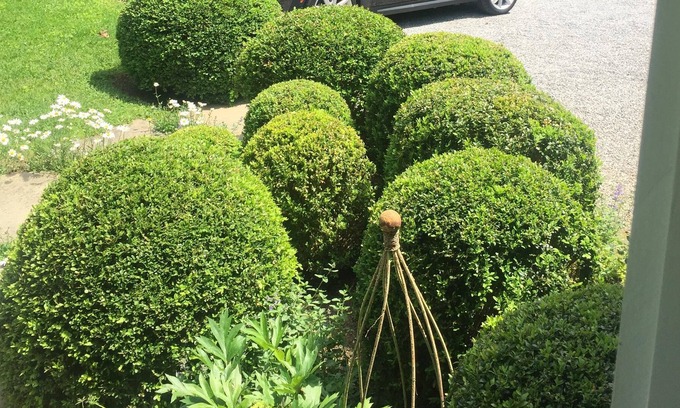 Bridgehampton Cottage | Bridgehampton South Garden Cottage
