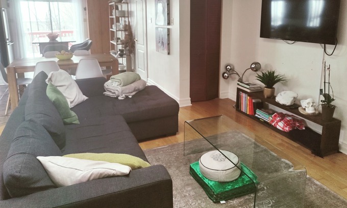 Hochelaga Apartment | Bright and spacious 3 Bedrooms with Terrace