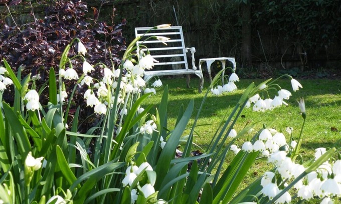 New Forest District Bed & Breakfast | Broadlands Gate