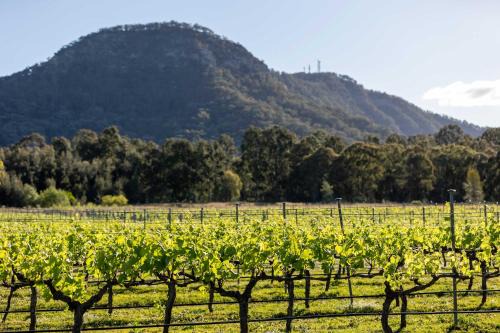 Pokolbin House | Brokenback Vineyard Cottage