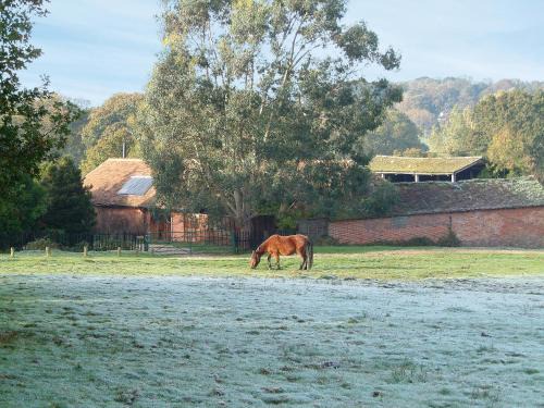 New Forest District House | Brook Barn