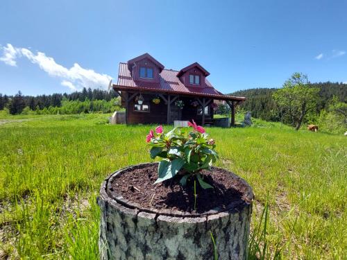 Zlatibor Ski Chalet | Brvnara Rajkova koliba - STD Bojovići Zlatar