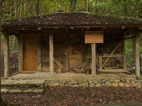 Central Serbia House | Brvnara u planini