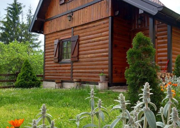 Kremna Cabin | Brvnare Na Brdu
