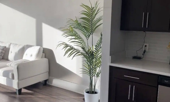 Piedmont Heights Apartment | Buckhead Atlanta Luxury Apartment - HUGE SIZE