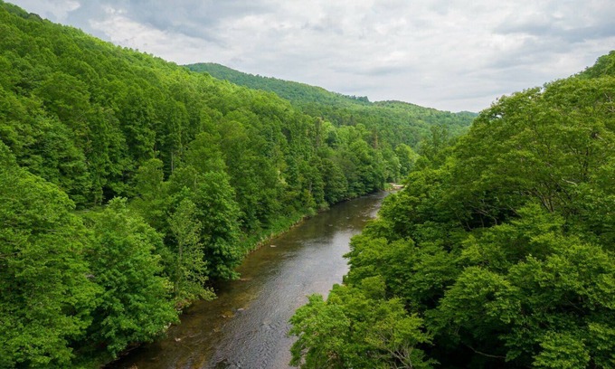 Todd Cabin | Bucky's Hideaway - Private river retreat with hot tub!