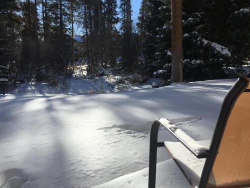 Four O'Clock Apartment | Budget Condo in Great Location - Ski In - 3 Blocks to Main Street
