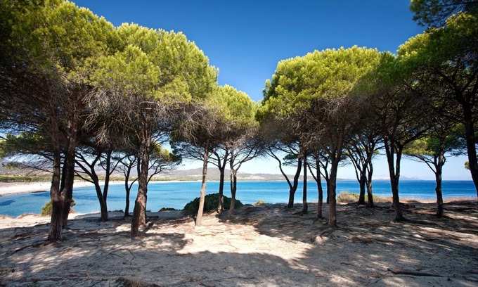 Baia Sant'Anna Apartment | Budoni Sea view rentals trilo with pool