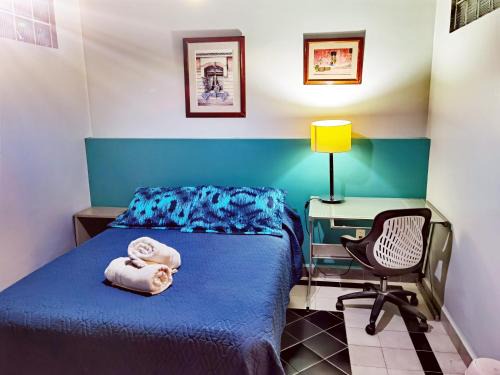 Roma Sur Apartment | Buganvilias 11