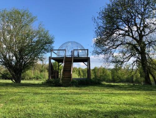 La Chapelotte Other | Bulle Elevage Girbal