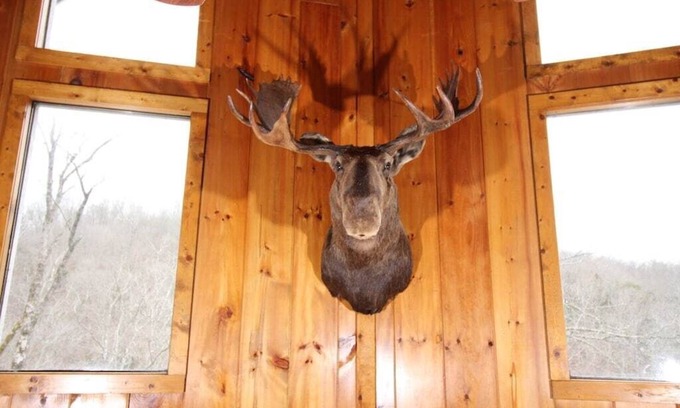 Flat Hollow Marina House | Bullwinkle Inn' private dock, hot tub, quiet water