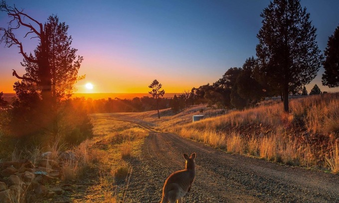 Cumboogle House | Bulwarra Accommodation - Heritage Studio