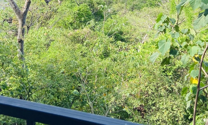 Paquera House | Bungalow 14 floor 2, with Ocean View, 5 pax max, 10 min from Curu National Park.