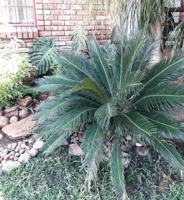Greater Tubatse House | Burgersfort Gastehuis
