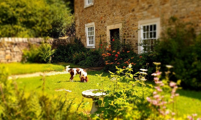 Durham Bed & Breakfast | Burnhopeside Hall