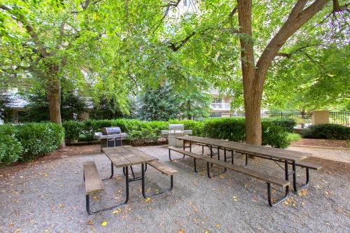 Aurora Highlands Apartment | Business or Vacations This Apt is Perfect to Both