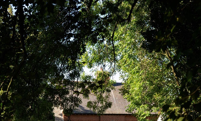 Pudleston House | BUTLERS COTTAGE IN DELIGHTFUL SETTING