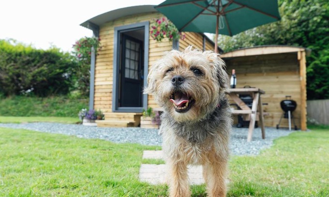 Kilgetty Other | Buttles Shepherd's Hut