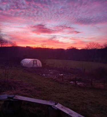 Builth Wells House | Buzzard's Nest
