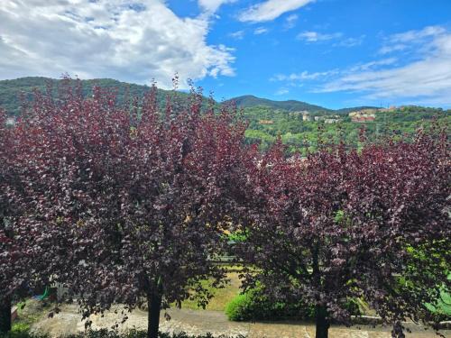 Cernobbio Apartment | Cà Nulcin