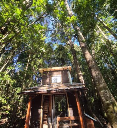 Panguipulli House | Cabaña Alto del Bosque