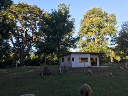 Pucon House | Cabaña de Damián
