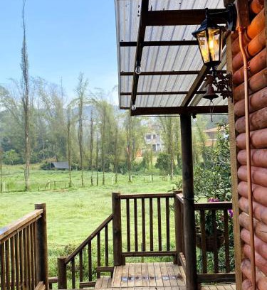 Guarne Ski Chalet | Cabaña de lujo con Lavadora y Secadora - Caballo Dorado