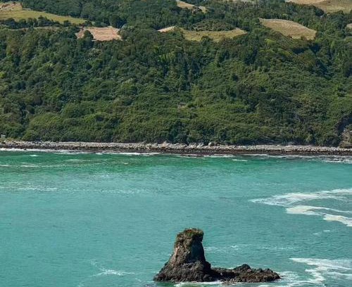 Chepu Apartment | Cabaña para 3 en playa de CHILOE
