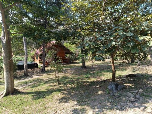 Curubande Apartment | Cabaña Rincón de Curubandé
