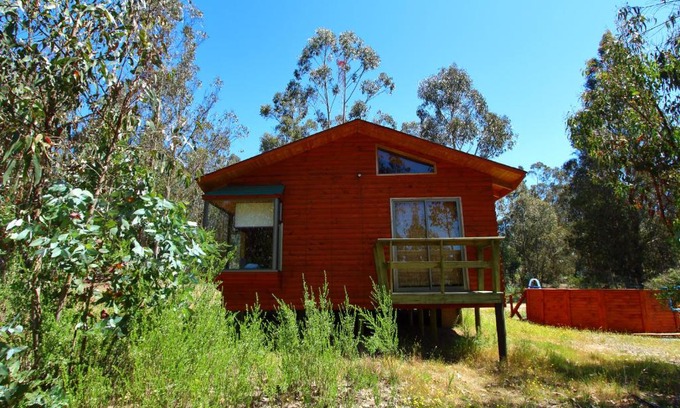 Algarrobo House | Cabaña Vintage