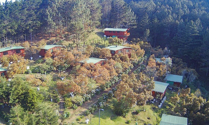 La Palma Cabin | Cabañas Alla Arriba