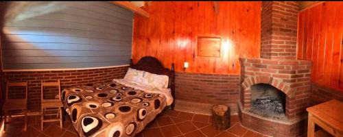 San Jose del Pacifico Other | Cabañas el paisano