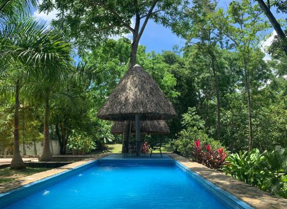 Palenque House | Cabañas Maya Rue