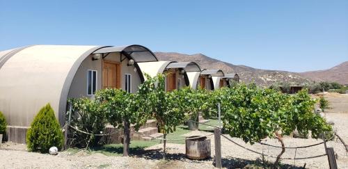 Valle de Guadalupe Cabin | Cabañas Valle de Guadalupe