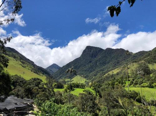 Salento Ski Chalet | Cabañas Valle del Cocora La Truchera