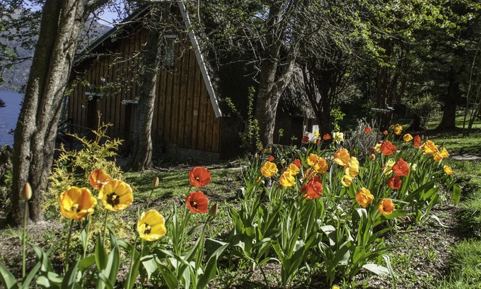 San Carlos de Bariloche Cabin | Cabañas Villa Pañil