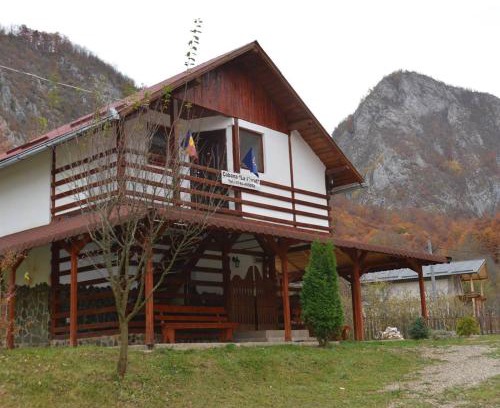 Salciua de Jos House | Cabana La Florut